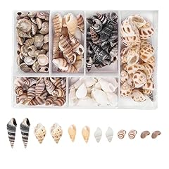 100pcs conchiglie spirale usato  Spedito ovunque in Italia 
