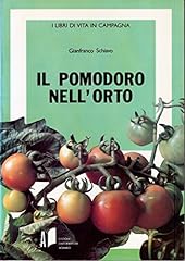 Pomodoro nell orto usato  Spedito ovunque in Italia 