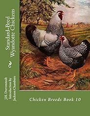 Standard bred wyandotte for sale  Delivered anywhere in USA 