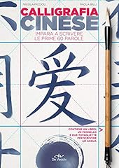 Calligrafia cinese. impara usato  Spedito ovunque in Italia 