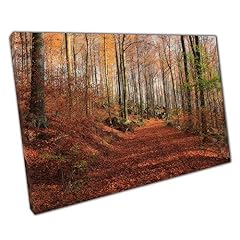 Autumn forest walk for sale  Delivered anywhere in UK