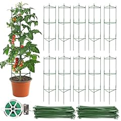 Dukelai pcs tomato for sale  Delivered anywhere in USA 