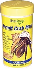 Tetrafauna hermit crab for sale  Delivered anywhere in USA 