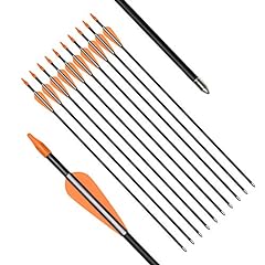 Practice fiberglass arrows for sale  Delivered anywhere in USA 