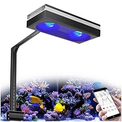 Popbloom rl180 wifi usato  Spedito ovunque in Italia 