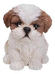 Shih tzu puppy for sale  Delivered anywhere in UK