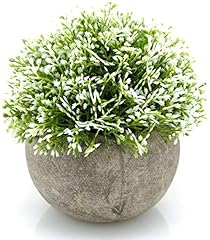 Velener white mini for sale  Delivered anywhere in USA 