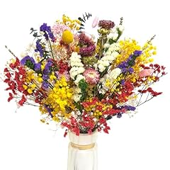 Kaohong fiori secchi usato  Spedito ovunque in Italia 