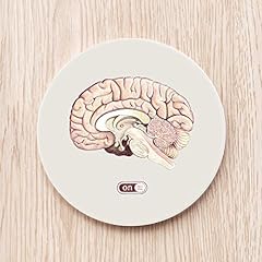 Half brain ceramic for sale  Delivered anywhere in USA 
