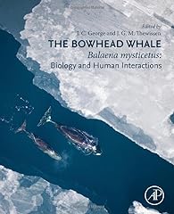 Bowhead whale balaena for sale  Delivered anywhere in USA 