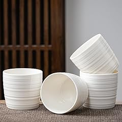 Teanagoo japanese porcelain for sale  Delivered anywhere in USA 