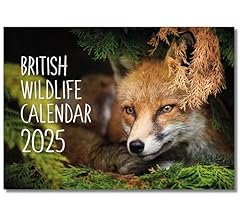 2025 british wildlife for sale  Delivered anywhere in UK