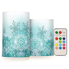 Silver winter teal for sale  Delivered anywhere in USA 