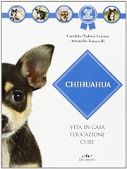 Chihuahua usato  Spedito ovunque in Italia 