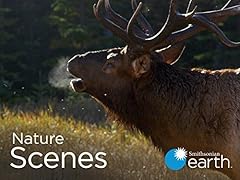 Nature scenes for sale  Delivered anywhere in USA 