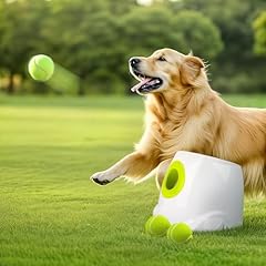 All for paws gebraucht kaufen  Wird an jeden Ort in Deutschland