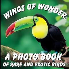 Wings wonder photo for sale  Delivered anywhere in UK