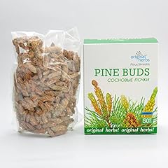 Pine buds pinus for sale  Delivered anywhere in UK