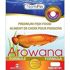 Northfin arowana for sale  Delivered anywhere in USA 