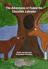 The adventures fudgie d'occasion  Livré partout en France