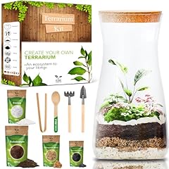 Diy terrarium kit for sale  Delivered anywhere in UK