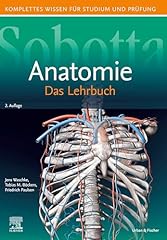 Sobotta lehrbuch anatomie gebraucht kaufen  Wird an jeden Ort in Deutschland