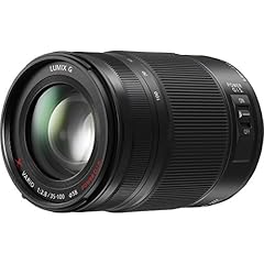 Panasonic hs35100 milc usato  Spedito ovunque in Italia 