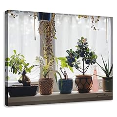Woxfcart bathroom plant for sale  Delivered anywhere in USA 