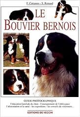 Bouvier bernois d'occasion  Livré partout en Belgiqu