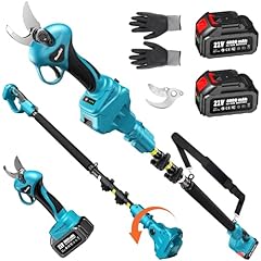 Seesii cordless electric for sale  Delivered anywhere in USA 