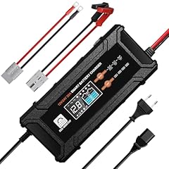 Eco worthy 12v gebraucht kaufen  Wird an jeden Ort in Deutschland