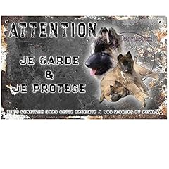 Attention chien chiot d'occasion  Livré partout en France