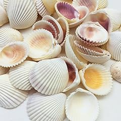 Pepperlonely white cockles for sale  Delivered anywhere in USA 