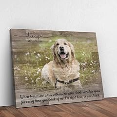 Tailored canvases pet for sale  Delivered anywhere in USA 
