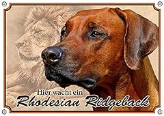 Petsigns hundeschild rhodesian gebraucht kaufen  Wird an jeden Ort in Deutschland