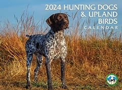 2024 hunting dogs for sale  Delivered anywhere in USA 