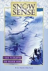 Snow sense guide gebraucht kaufen  Wird an jeden Ort in Deutschland