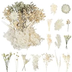 Laumoe getrocknete blumen gebraucht kaufen  Wird an jeden Ort in Deutschland