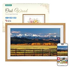 Frameo cadre photo d'occasion  Livré partout en France