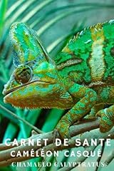 Carnet santé caméléon d'occasion  Livré partout en France