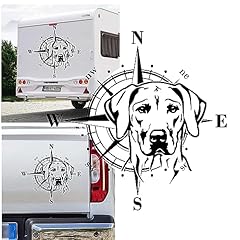 Rhodesian ridgeback kompass gebraucht kaufen  Wird an jeden Ort in Deutschland