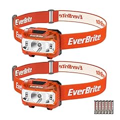 Everbrite lampada frontale usato  Spedito ovunque in Italia 