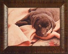 Acts sueellen ross for sale  Delivered anywhere in USA 
