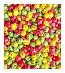 Colored chickpeas sensory for sale  Delivered anywhere in USA 