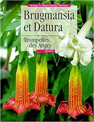 Brugmansia datura. trompettes d'occasion  Livré partout en Belgiqu