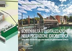 Sostenibilità digitalizzazion usato  Spedito ovunque in Italia 