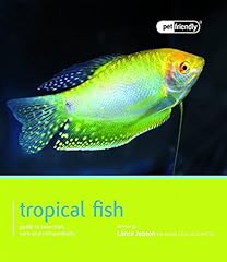 Tropical fish pet for sale  Delivered anywhere in UK