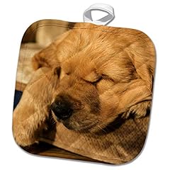 8x8 potholder sleeping for sale  Delivered anywhere in USA 