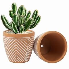 Ilohaus terracotta planter for sale  Delivered anywhere in USA 
