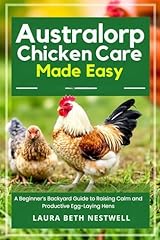 Australorp chicken care for sale  Delivered anywhere in UK